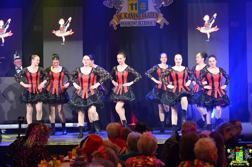 ../Images/Seniorencarnaval 2026 061.jpg